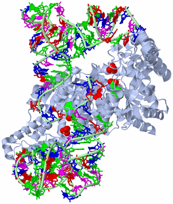 Image Biological Unit 1