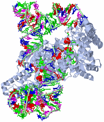 Image Biol. Unit 1 - sites