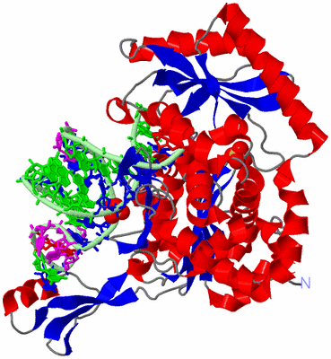 Image Asym./Biol. Unit