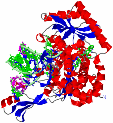 Image Asym./Biol. Unit - sites