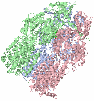 Image Asym./Biol. Unit - sites