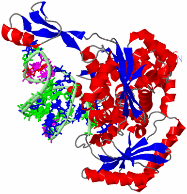 Image Asym./Biol. Unit