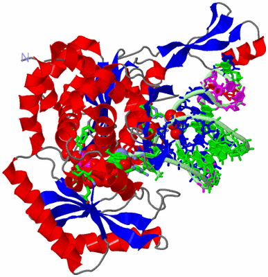 Image Asym./Biol. Unit - sites