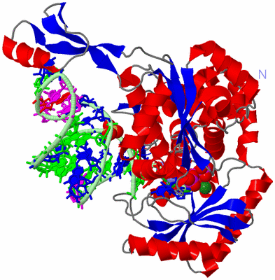 Image Asym./Biol. Unit