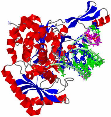 Image Asym./Biol. Unit