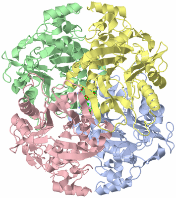 Image Asym./Biol. Unit - sites