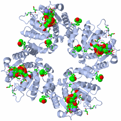 Image Biol. Unit 1 - sites