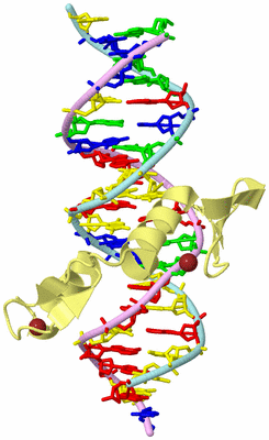 Image Biological Unit 2