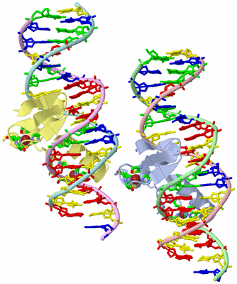 Image Asym. Unit - sites