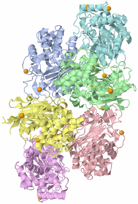 Image Asymmetric Unit