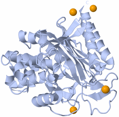 Image Biological Unit 1