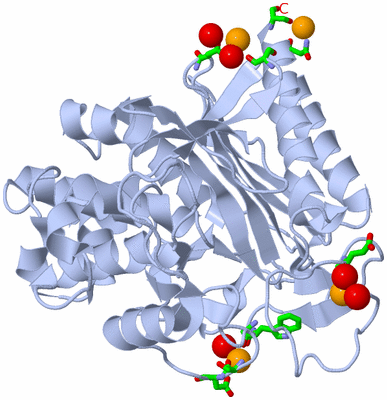 Image Biol. Unit 1 - sites