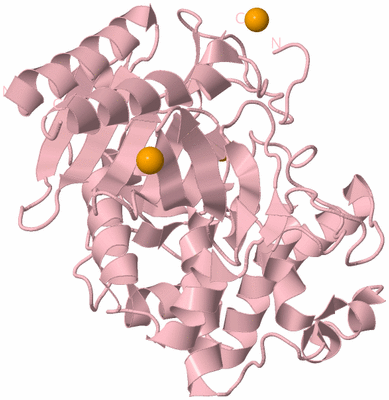 Image Biological Unit 3