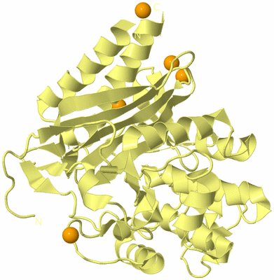 Image Biological Unit 4