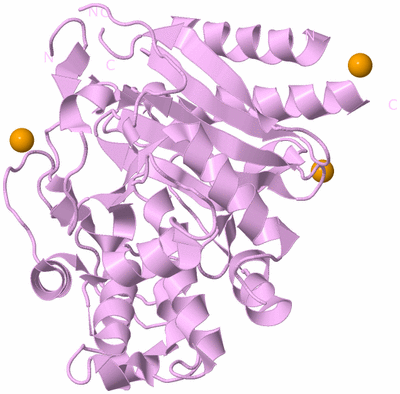 Image Biological Unit 5