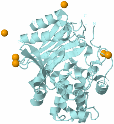 Image Biological Unit 6