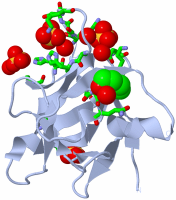 Image Biol. Unit 1 - sites