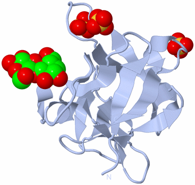 Image Biological Unit 1