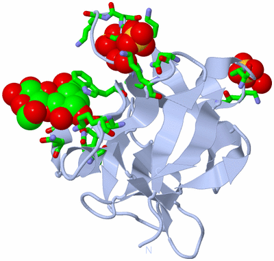 Image Biol. Unit 1 - sites