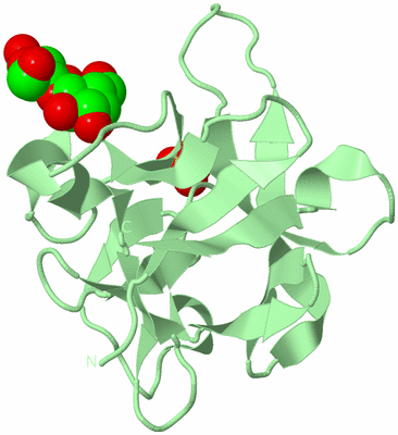 Image Biological Unit 2