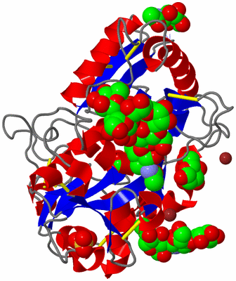 Image Asym./Biol. Unit