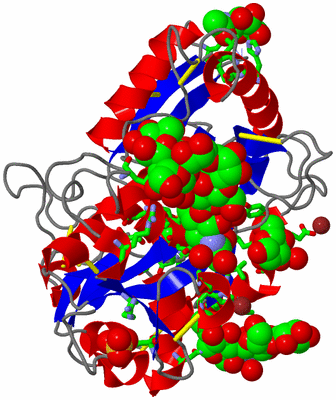 Image Asym./Biol. Unit - sites