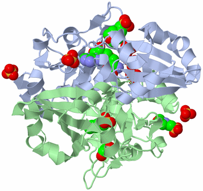 Image Biological Unit 1