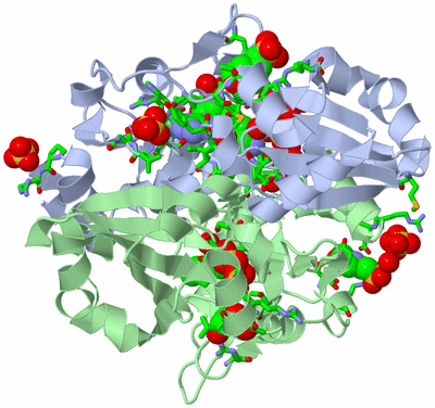 Image Biol. Unit 1 - sites