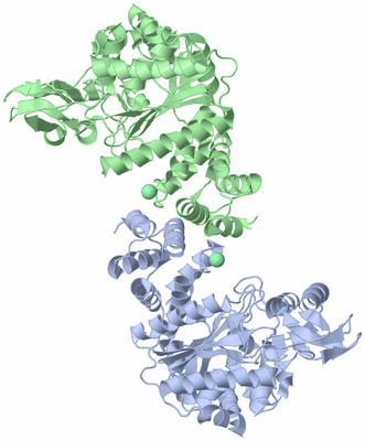 Image Asym./Biol. Unit