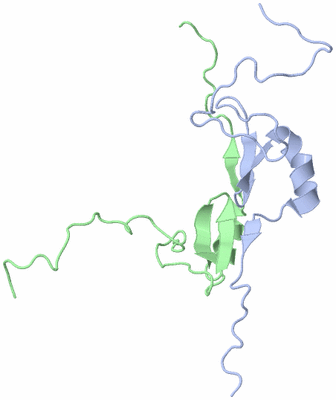 Image NMR Structure - model 1