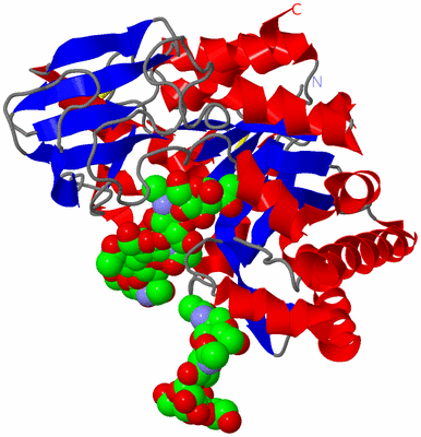 Image Asym./Biol. Unit