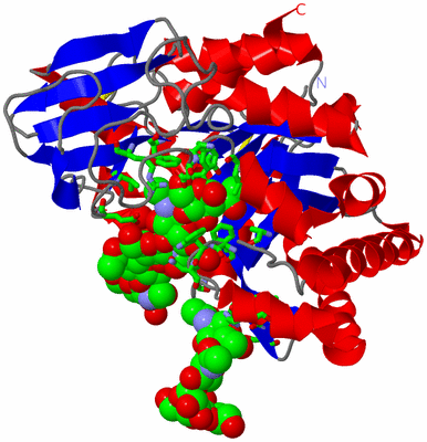 Image Asym./Biol. Unit - sites