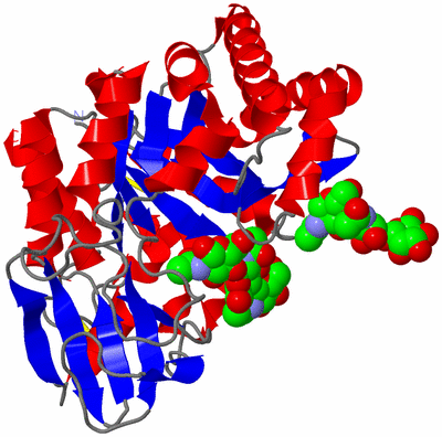 Image Asym./Biol. Unit