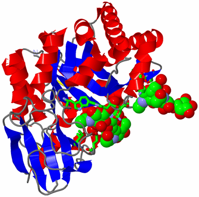 Image Asym./Biol. Unit - sites