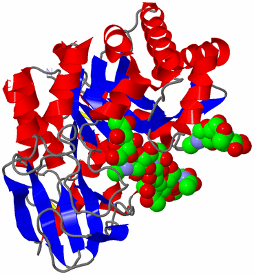 Image Asym./Biol. Unit