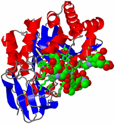 Image Asym./Biol. Unit - sites