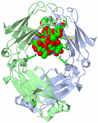 Image Asym./Biol. Unit - sites