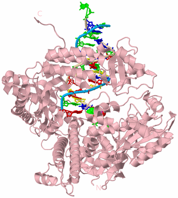 Image Biological Unit 3