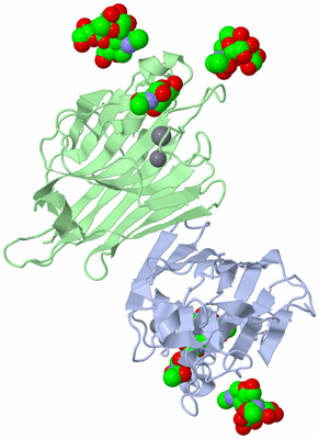 Image Biological Unit 1