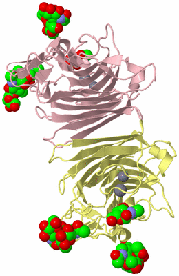 Image Biological Unit 2