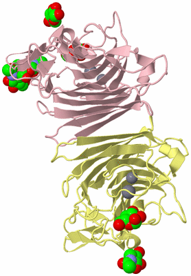 Image Biological Unit 2