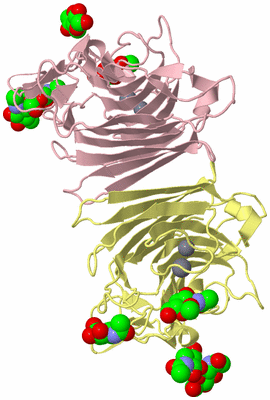 Image Biological Unit 2