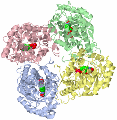 Image Asym./Biol. Unit