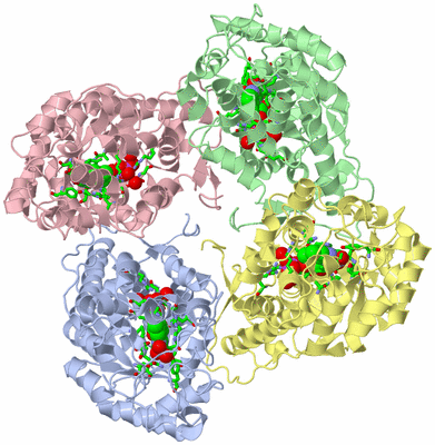 Image Asym./Biol. Unit - sites