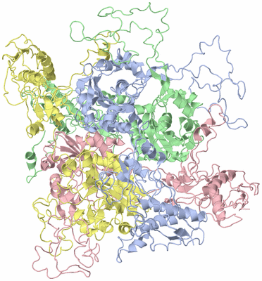 Image Biological Unit 1