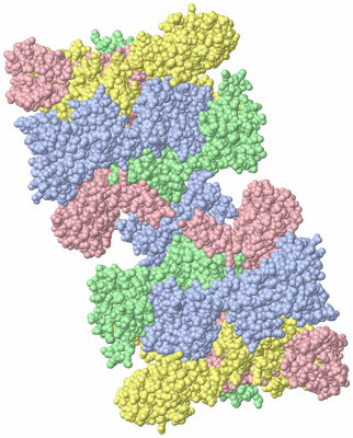 Image Biological Unit 2