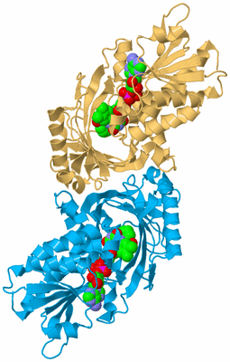 Image Biological Unit 2