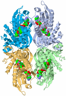 Image Biological Unit 3