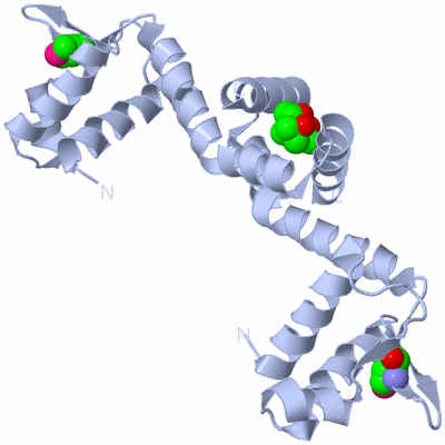 Image Biological Unit 1