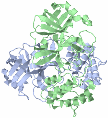 Image Asym./Biol. Unit